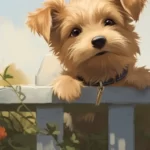 animal-de-estimacao-significado-dos-sonhos