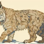 lince-significado-dos-sonhos